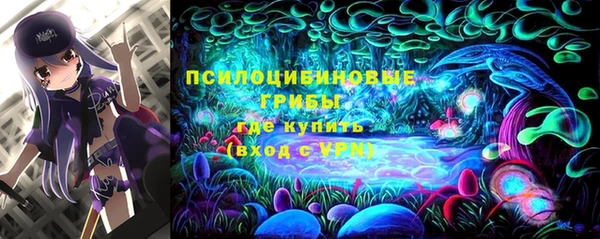 спиды Аркадак