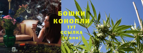 спиды Аркадак