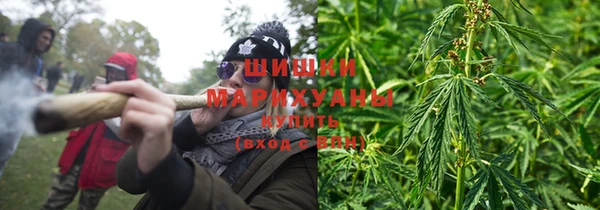 спиды Аркадак