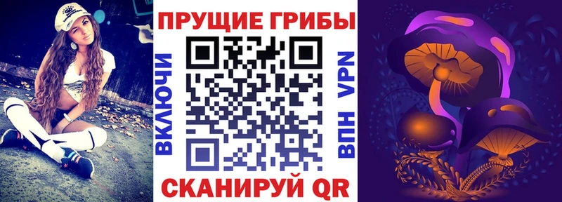 Псилоцибиновые грибы Cubensis omg зеркало Бирюч где купить